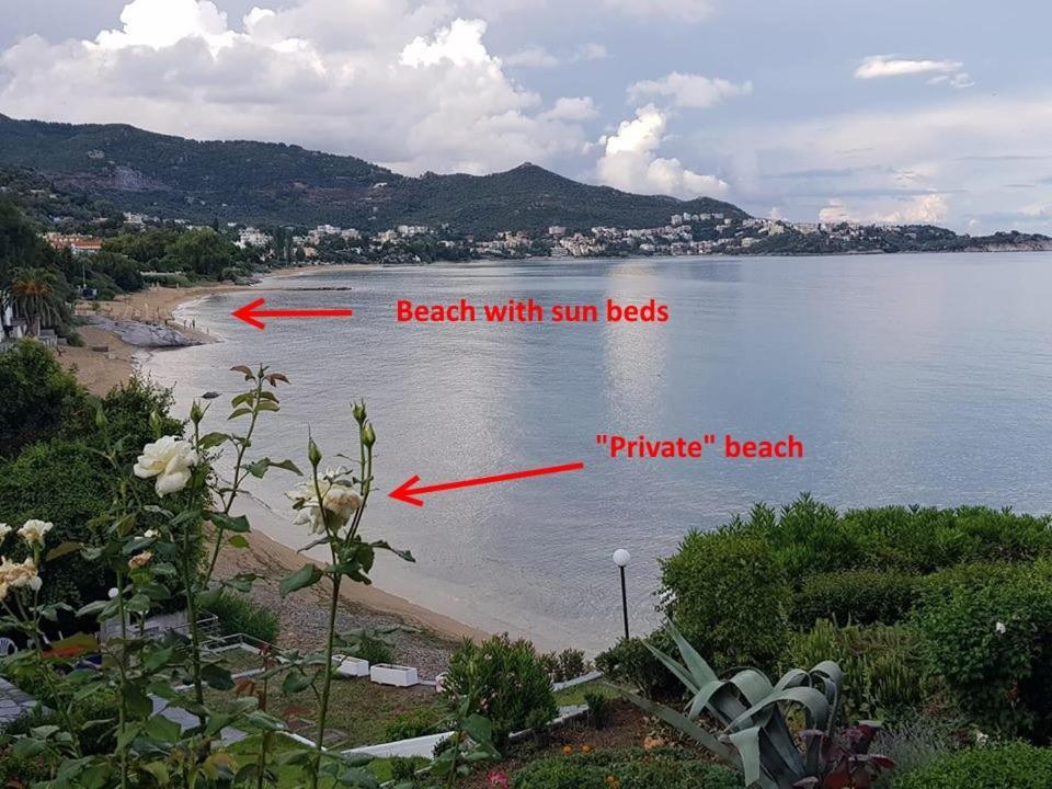 Evaliana Seaside Apartment PalaiónTsiflíkion エクステリア 写真