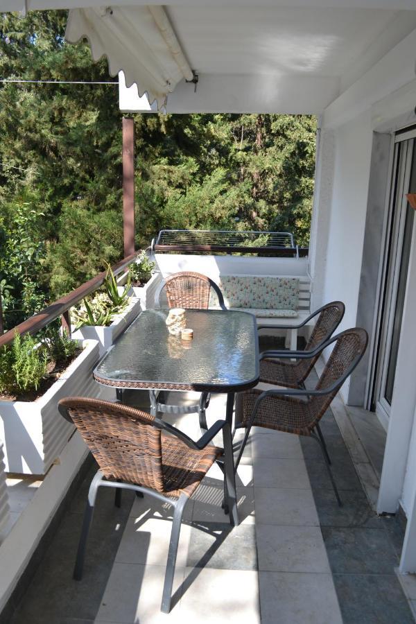 Evaliana Seaside Apartment PalaiónTsiflíkion エクステリア 写真