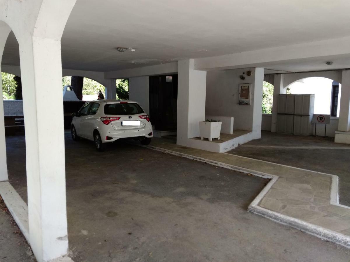 Evaliana Seaside Apartment PalaiónTsiflíkion エクステリア 写真