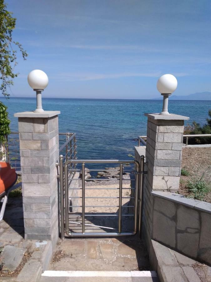 Evaliana Seaside Apartment PalaiónTsiflíkion エクステリア 写真