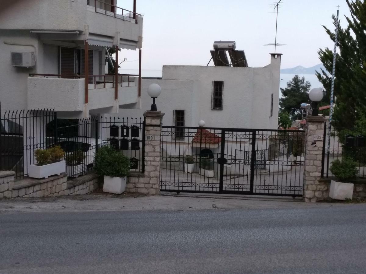 Evaliana Seaside Apartment PalaiónTsiflíkion エクステリア 写真